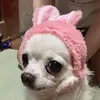 keikoueda4 - @keikoueda4 - TikTok