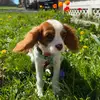 Keila Rivera - @_keila.rivera_ - TikTok