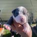 Keion Davis - Facebook