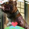 Keri Calvert - @keri.calvert - TikTok