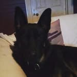 Keira May Bishop - @keiramaybishop - Instagram