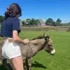 keira_casey - @keira.casey09 - TikTok