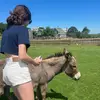 keira.casey09 - @keira.casey095 - TikTok