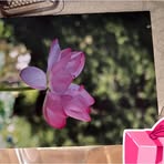 Keira Chen - Facebook