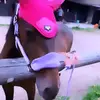cherry💗🍒 - @cherry.n.keira - TikTok