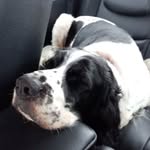 Keira Cunningham - @keira.cunningham.1865 - Instagram
