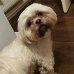 Keira Cunningham - @keiracunningham2007 - Instagram