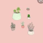 Keira Douglass - @keira_douglass11 - Instagram
