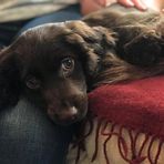 Keira Doyle - Facebook