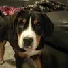 Keira Doyle - @keira.doyle5 - TikTok
