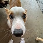 Keira Fraley - @keira_fraley77 - Instagram