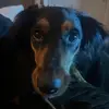 keiragregory - @keiragregory_ - TikTok