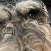 Hi!!!! - @keira.and.henry - TikTok