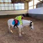 Horses ❤️🐎 - @keira_.jack - Instagram