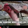 user9488471456084 - @keiraknox_2007 - TikTok