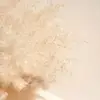 Keira - @keirakramer - TikTok
