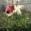 Kira Krämer - @kirakraemer9 - TikTok