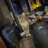 Keira Mann - @keira.mann - TikTok