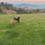 Keira Roffey-Mitchell - @modpsych - Instagram