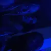 Keira Moore - @keiraa.m96 - TikTok