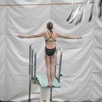 Keira Porter - @keiraporterdiving - Instagram