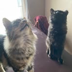 Kira Schmidt - Facebook