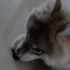 keishacastro582 - @keishacastro582 - TikTok
