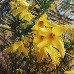 Keishawn Corbett - @keishawncorbett - Instagram