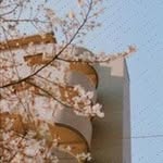 Keisha Helm - @uschikienast583 - Instagram