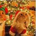 Lavender Maureen Kuuchou - Facebook