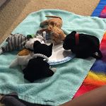 Keisha Leslie - @atlcatmom - Instagram