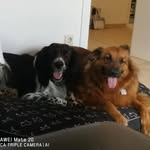 ♡~Nero & Keisha~♡ - @_nero_keisha_ - Instagram