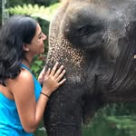 Keisha Patel - @keisha_patel - Instagram