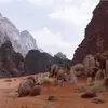 keisha_reed - @keishareed148 - TikTok