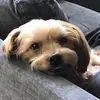 Keisha Rivers641 - @decor8mylife - TikTok
