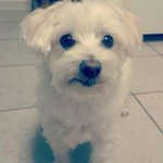 Keisha - @keishaphtwalton - Instagram