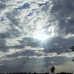 Chethan Naidu - @keith_ackerman.g - Instagram