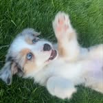 Keith Ackerly - @keith.ackerly - Instagram