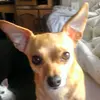 Keith Addison - @keith.addison34 - TikTok