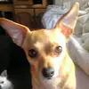 Keith Addison - @keith.addison34 - TikTok