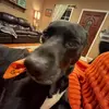keagan.keith - @keagan.keith - TikTok