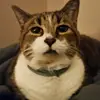Keith Allard - @keith.allard03 - TikTok