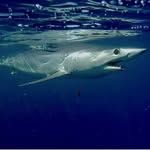Keith Galloway - @keith_galloway72 - Instagram