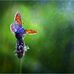 Keith Andrade - Facebook