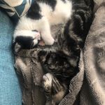 Keith & Margot - @keithandmargot - Instagram