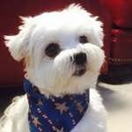 Keith Armbruster - @keith.armbruster - Instagram
