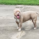 Keith Arnett Williams - @chevyman0727 - Instagram