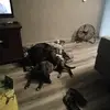 Keith Barnett - @keith.barnett40 - TikTok