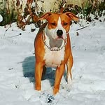 Keith Ash - @keithash61 - Instagram