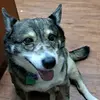 keithast.clair - @keithast.clair - TikTok